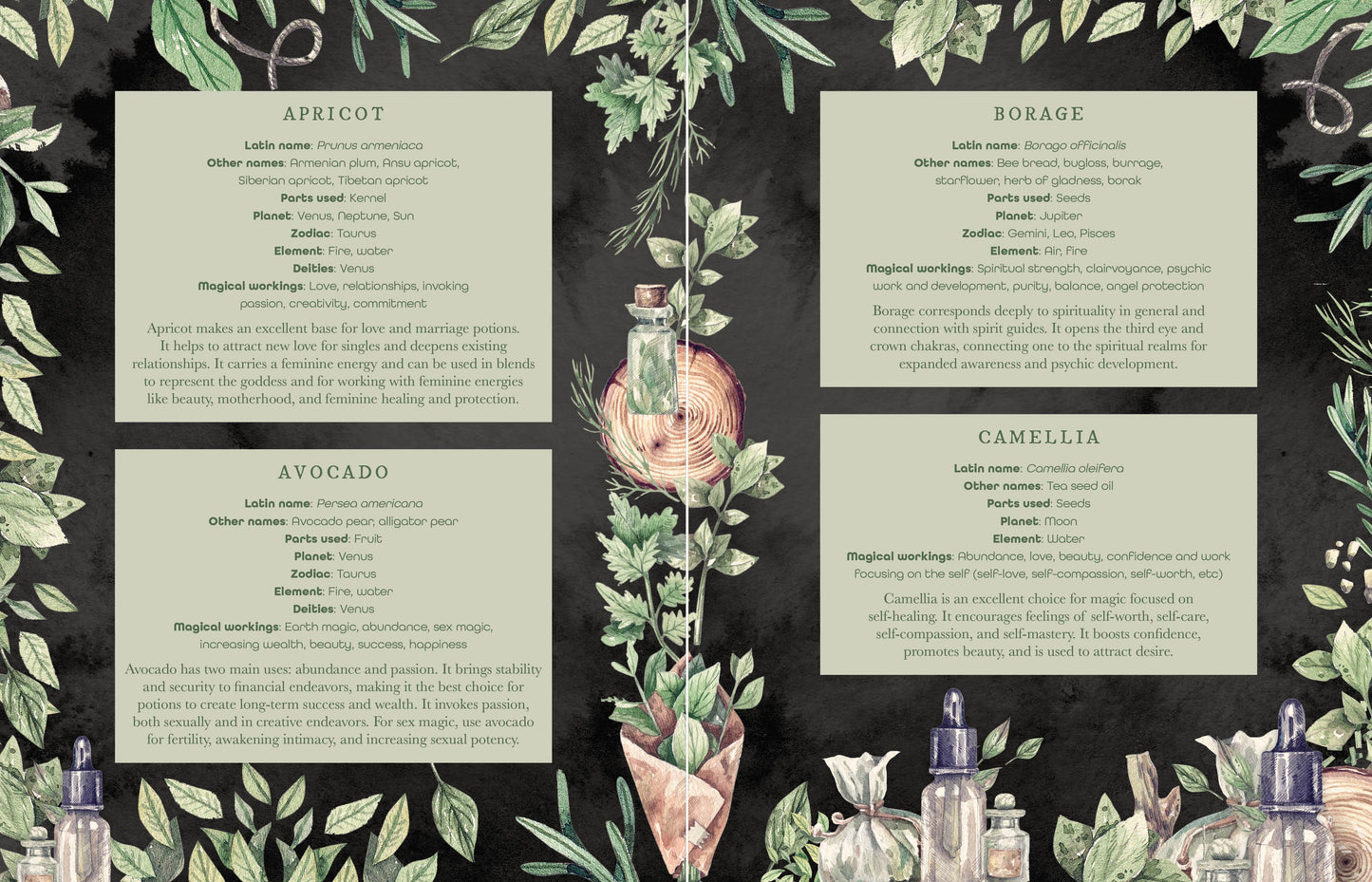 The Witch's Apothecary: Seasons of the Witch
