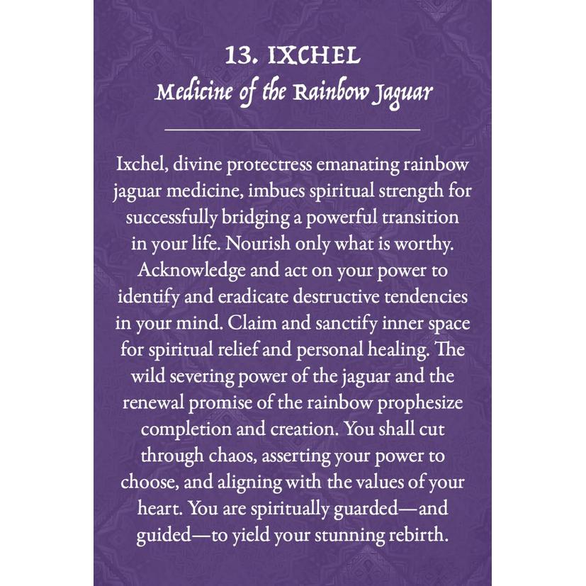 Earth Warriors Oracle Pocket Purpose Edition