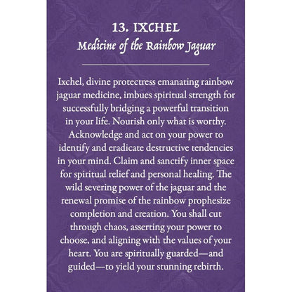 Earth Warriors Oracle Pocket Purpose Edition