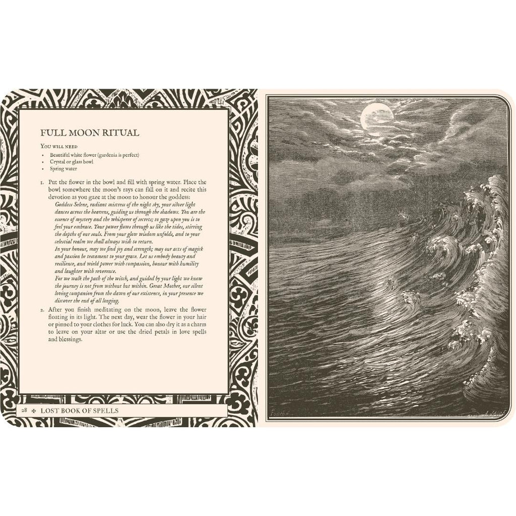 Lost Book of Spells by Fiona Horne