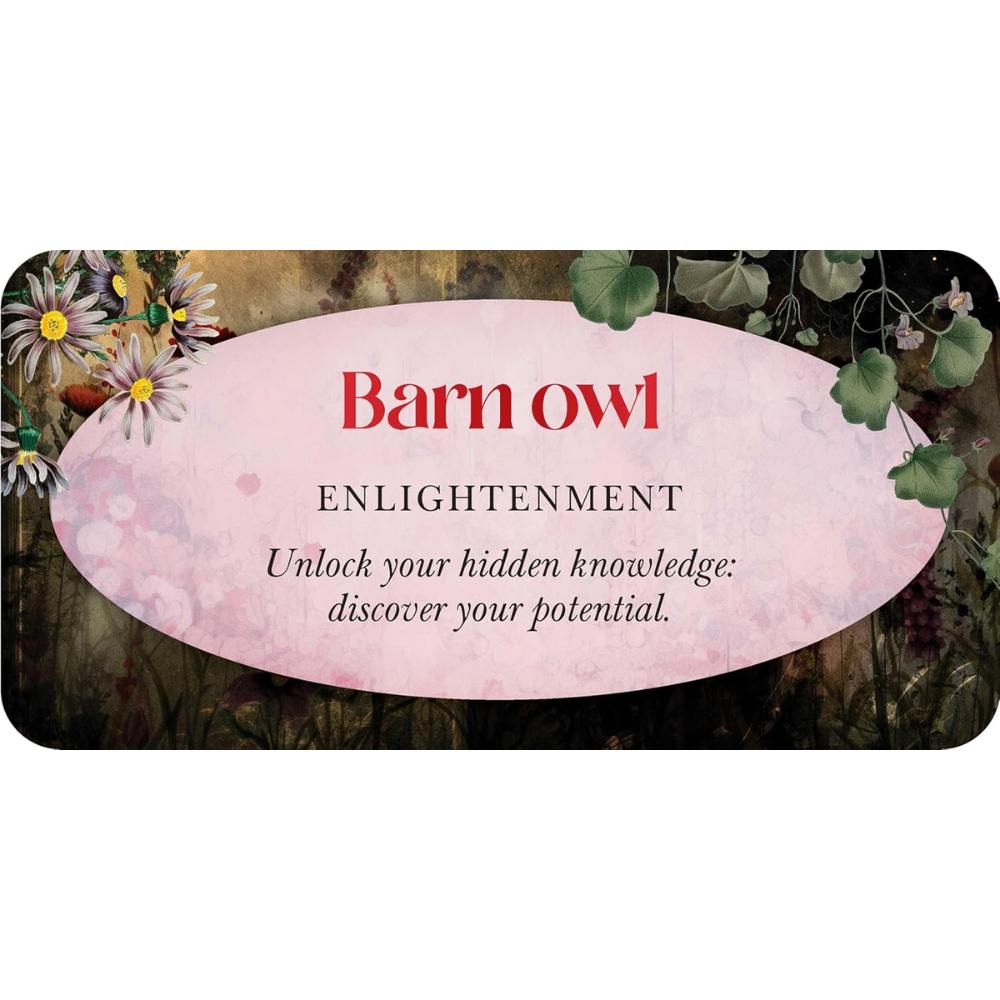 Animal Guides Mini Cards