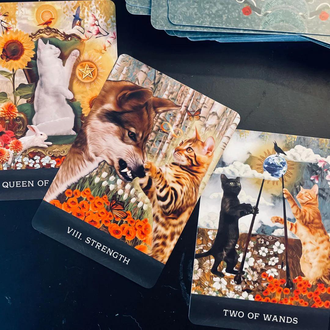 Grimalkin's Curious Cats Tarot