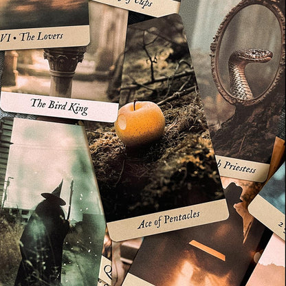 Bird King Tarot