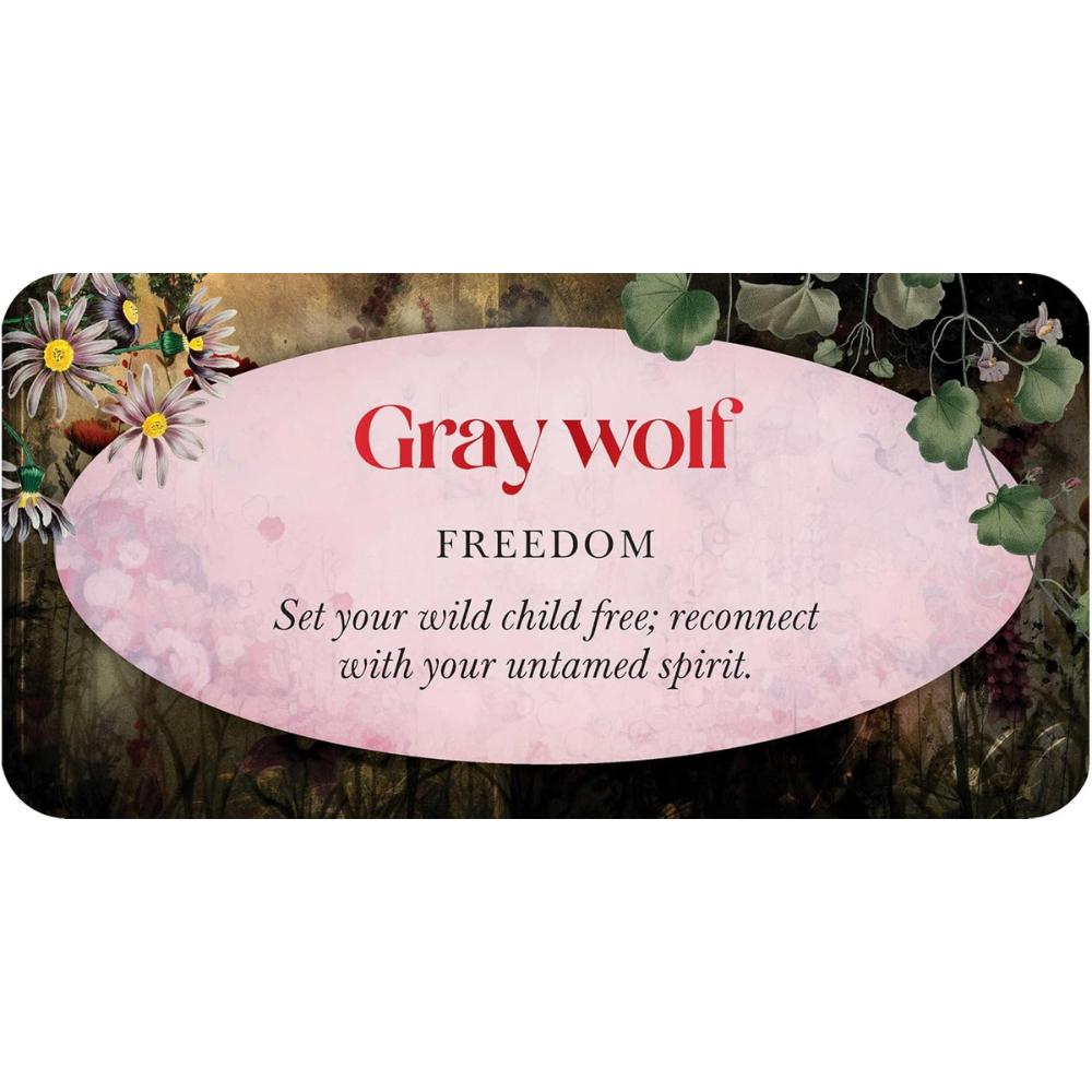 Animal Guides Mini Cards