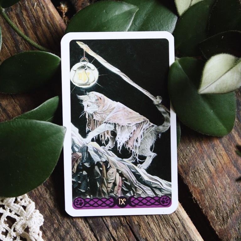 Tarot of Pagan Cats Mini
