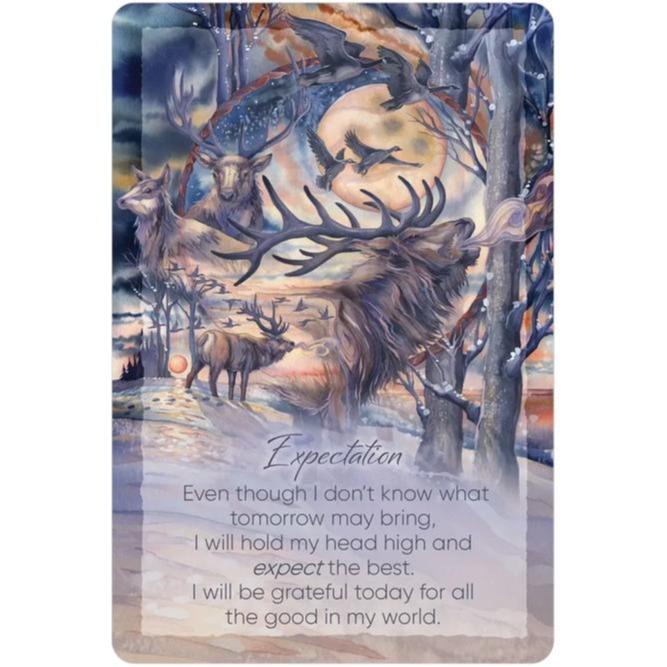 The Light Within: Affirmations for Daily Inspiration and Guidance