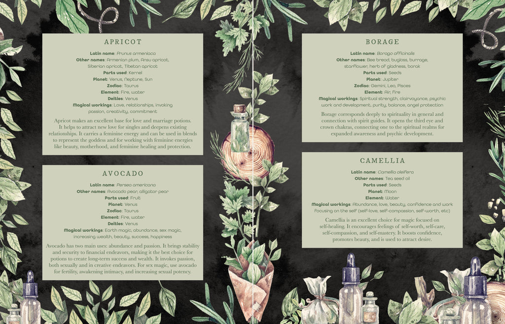 The Witch's Apothecary: Seasons of the Witch