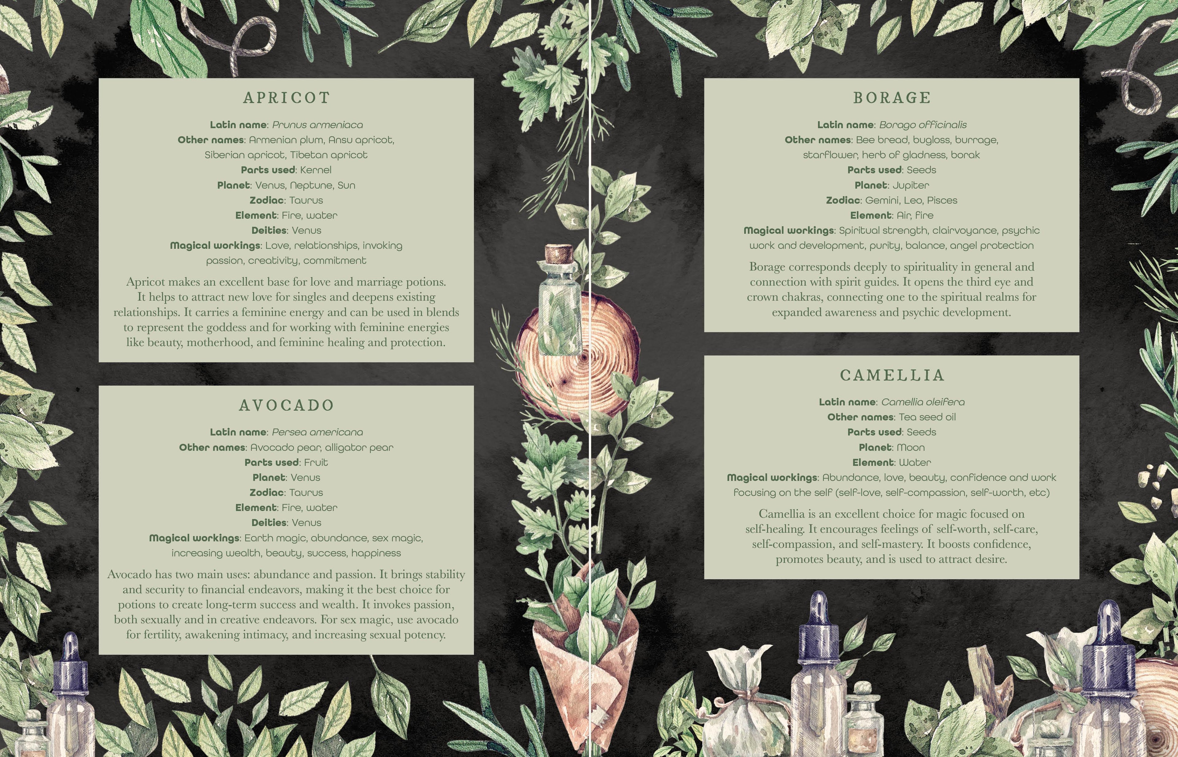 The Witch's Apothecary: Seasons of the Witch