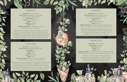 The Witch's Apothecary: Seasons of the Witch