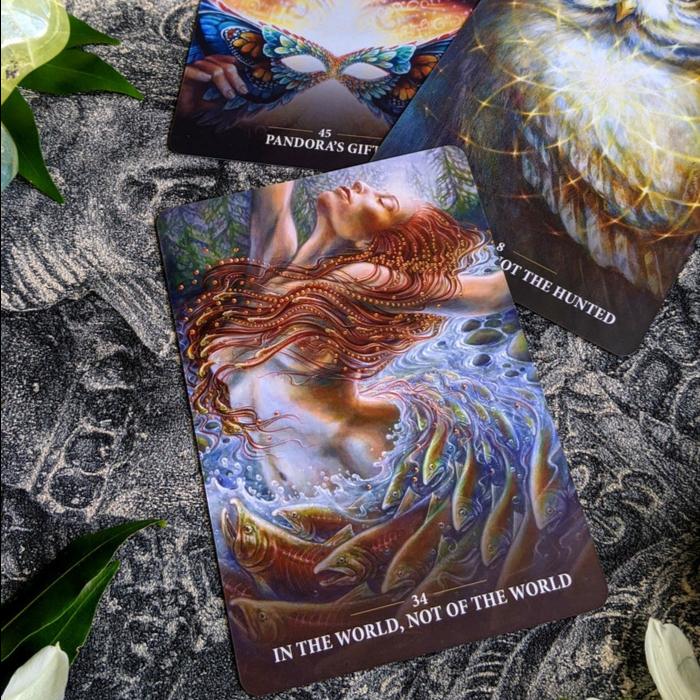 Sacred Rebels Oracle Borderless Edition