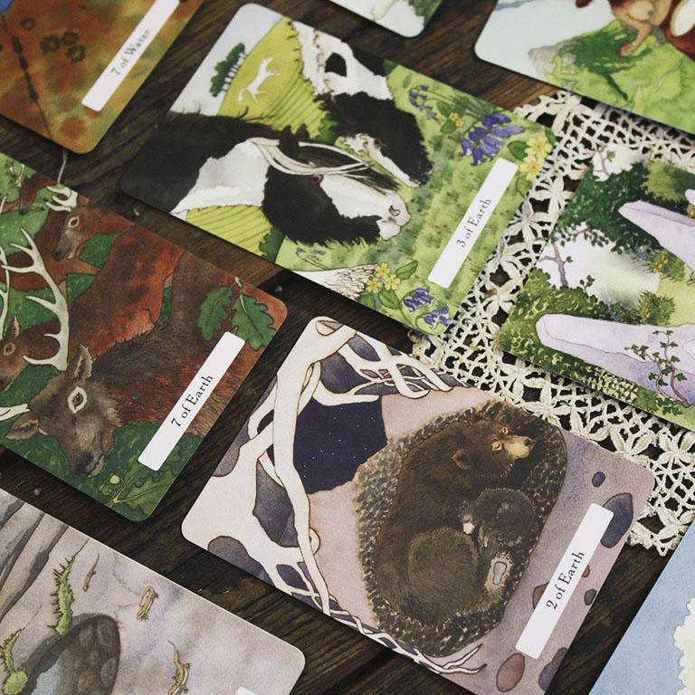 The Witches' Wisdom Tarot