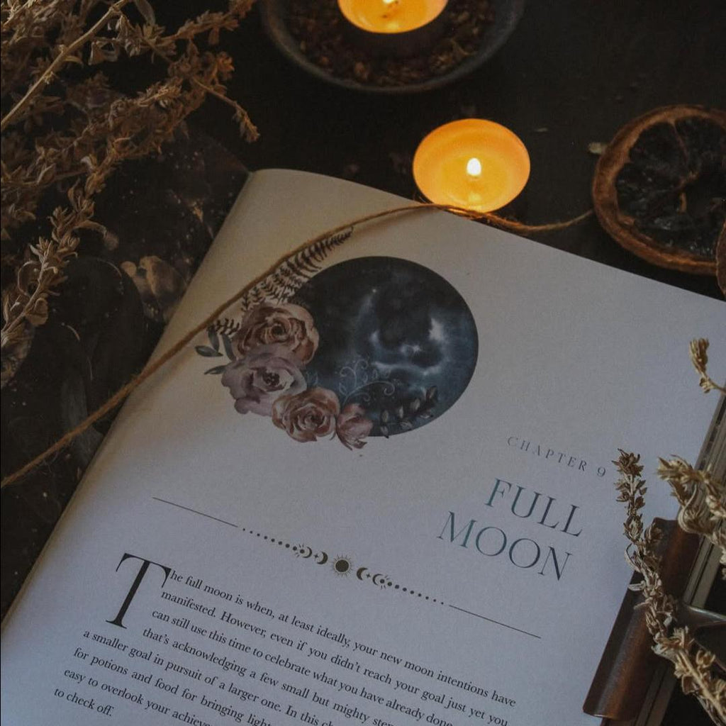 The Moon Apothecary: Seasons of the Witch