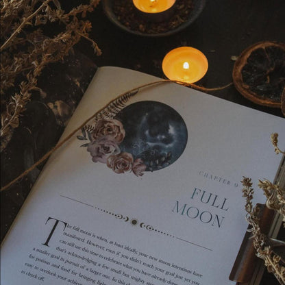 The Moon Apothecary: Seasons of the Witch