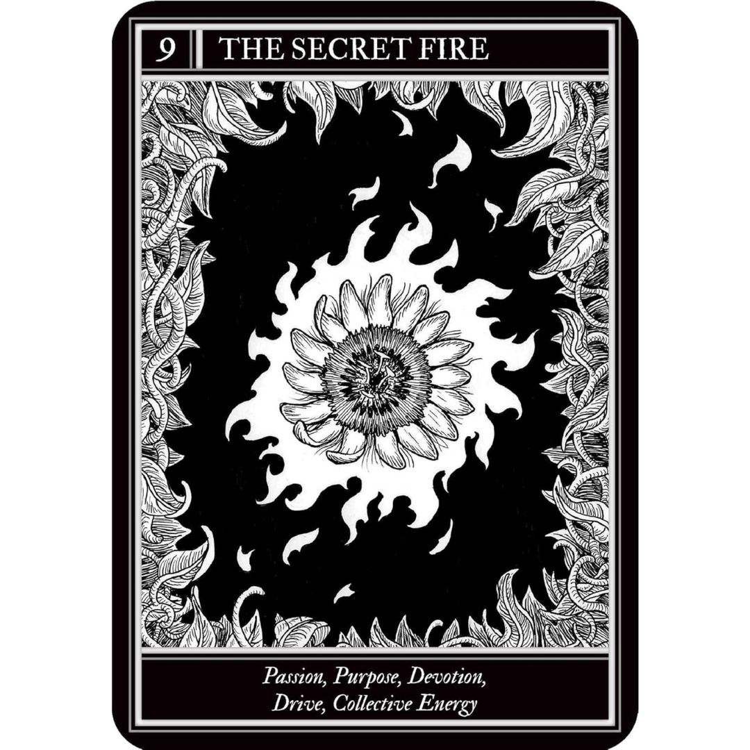 Coven Oracle by Fiona Horne