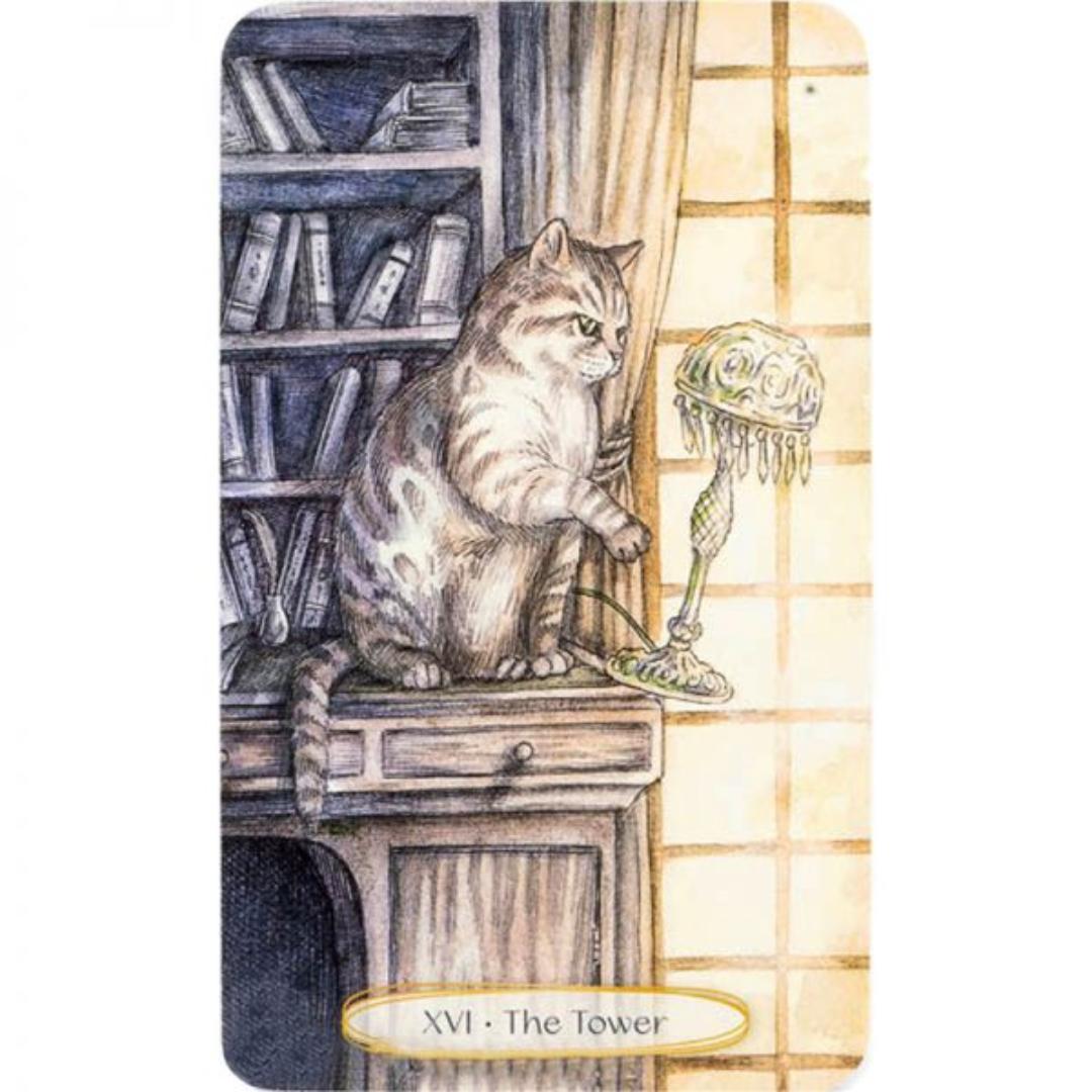 Soul Cats Tarot