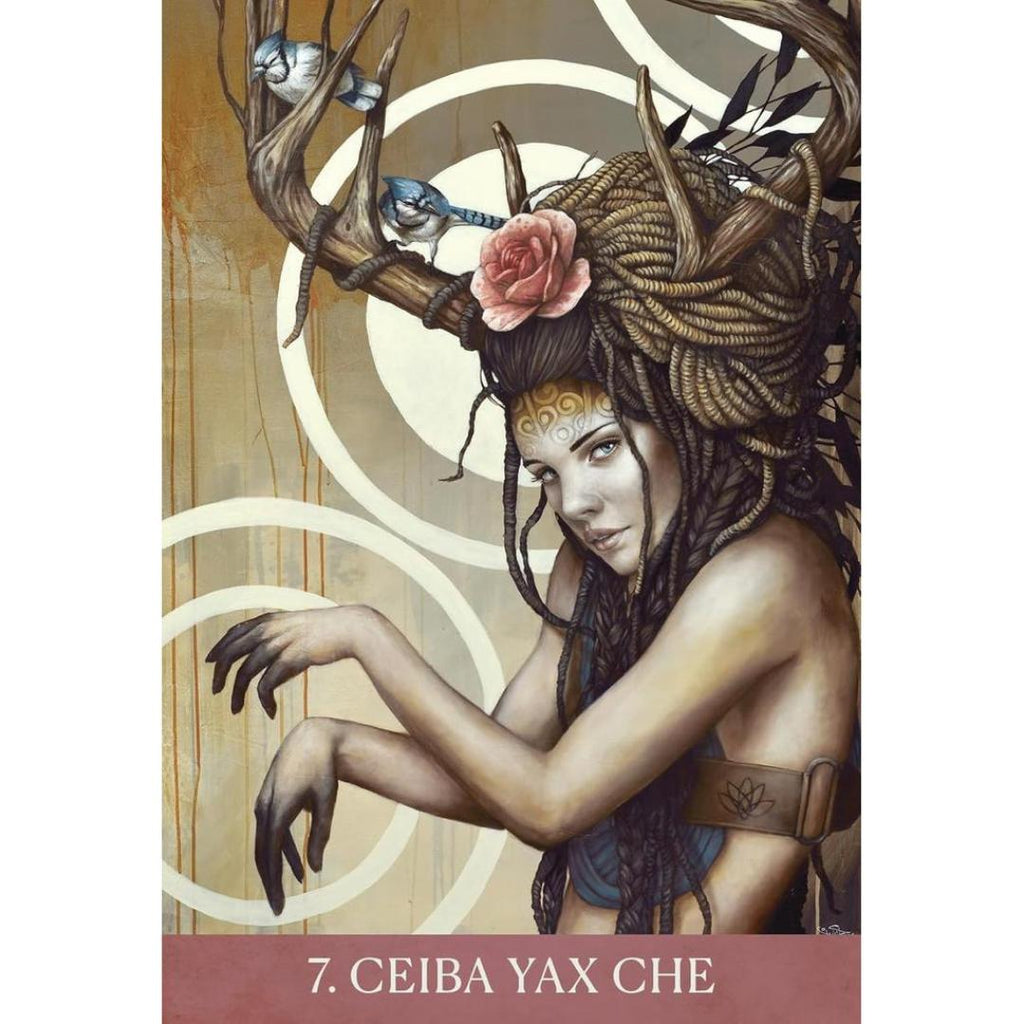 Medicine Heart Oracle