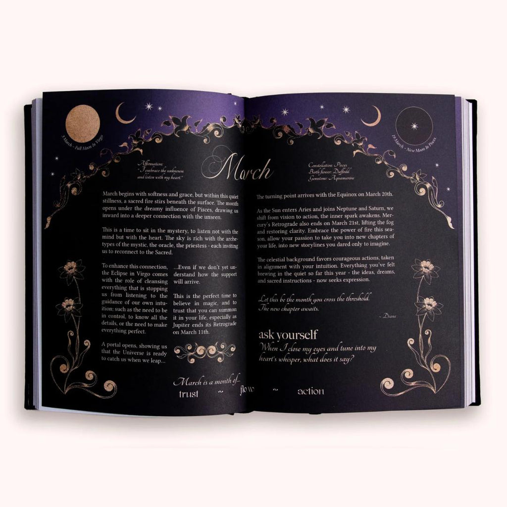 Dreamy Moons 2026 Year of Growth Book - Onyx Black