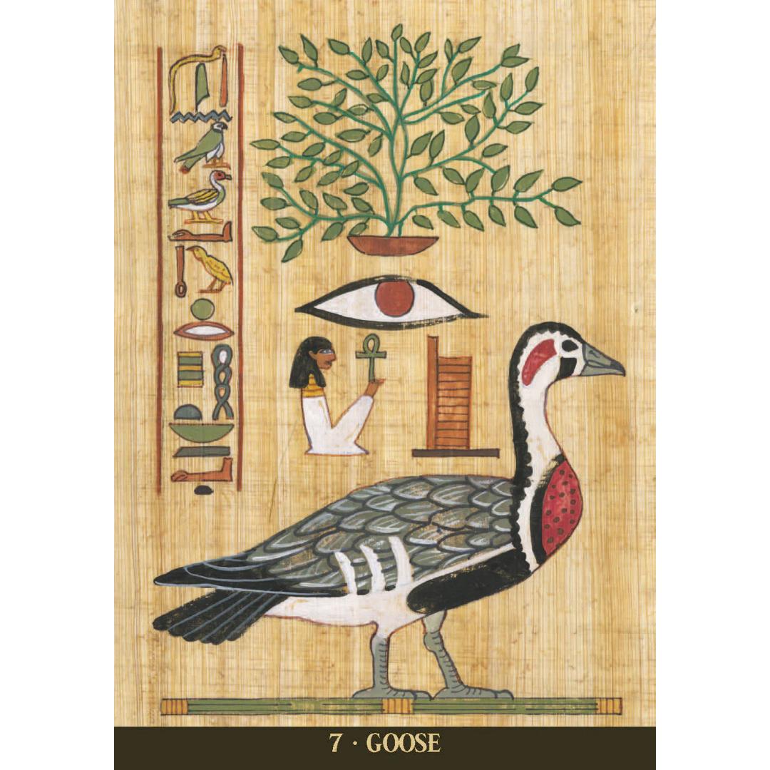 Egyptian Sacred Animals Oracle
