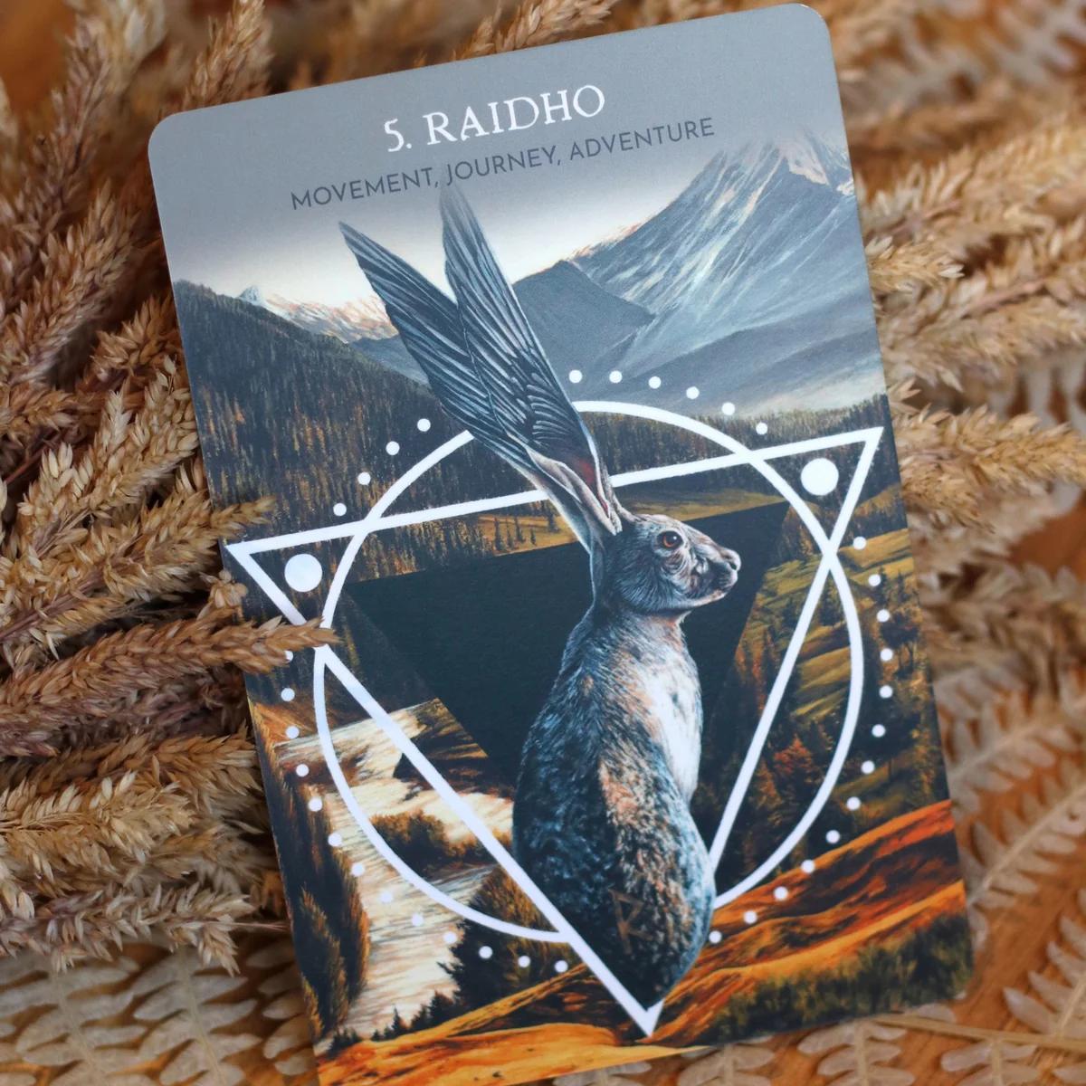 Animal Guide Rune Cards