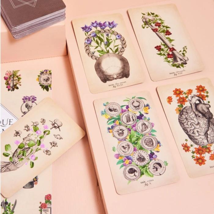 The Antique Anatomy Tarot | Kartu Tarot Deck