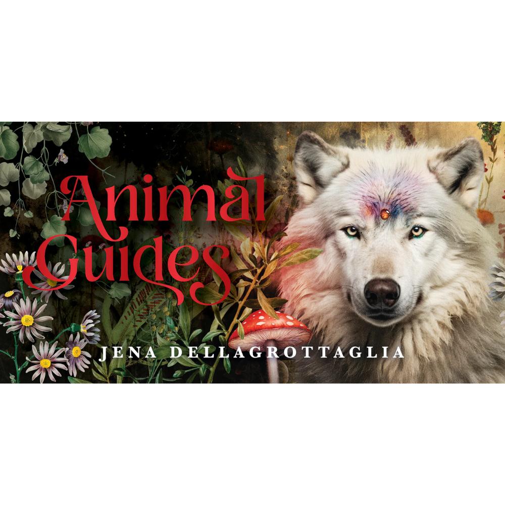 Animal Guides Mini Cards