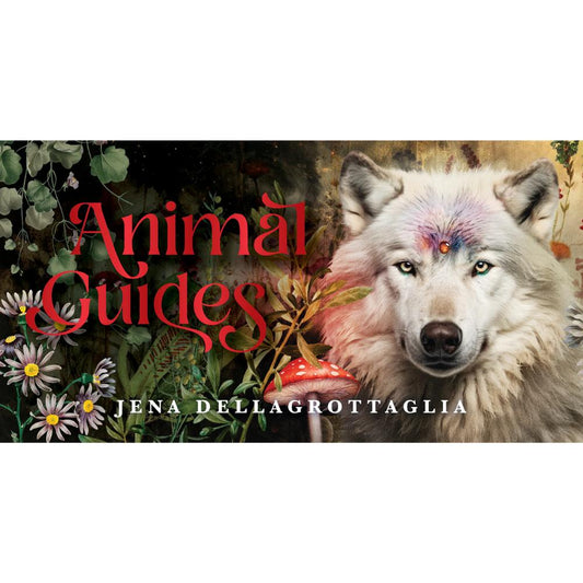 Animal Guides Mini Cards