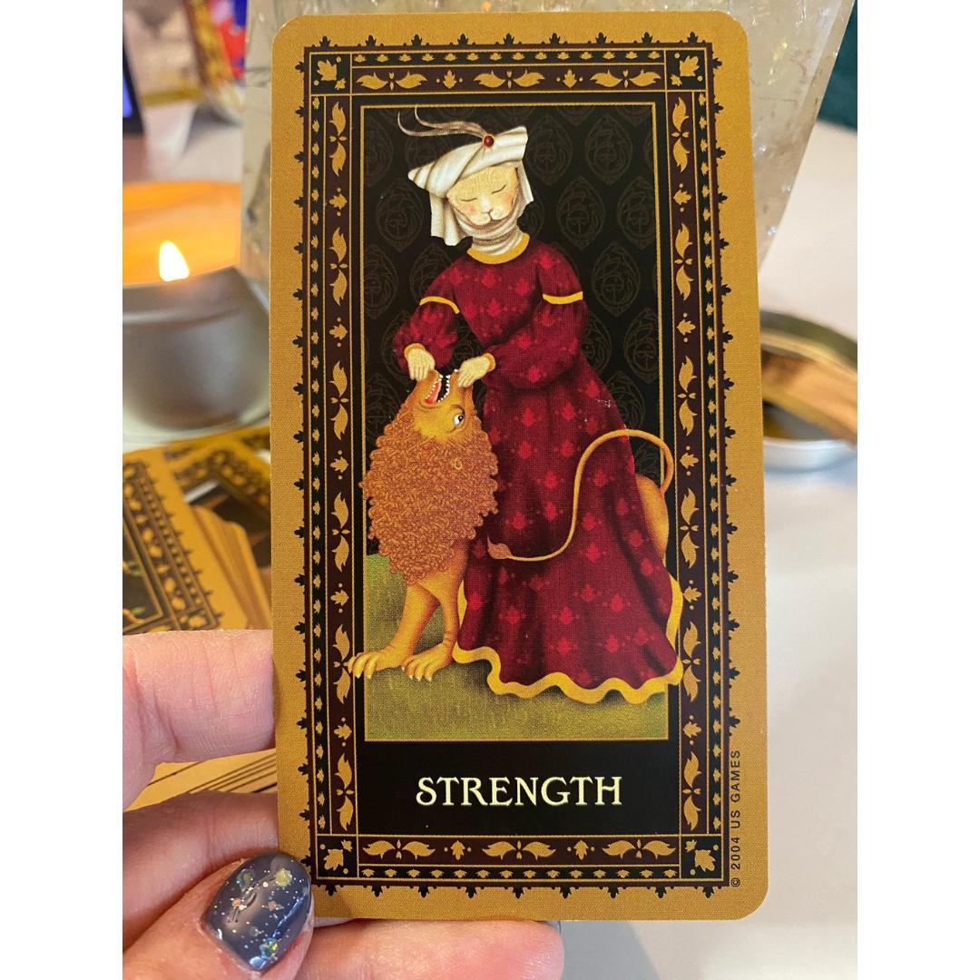 Medieval Cat Tarot