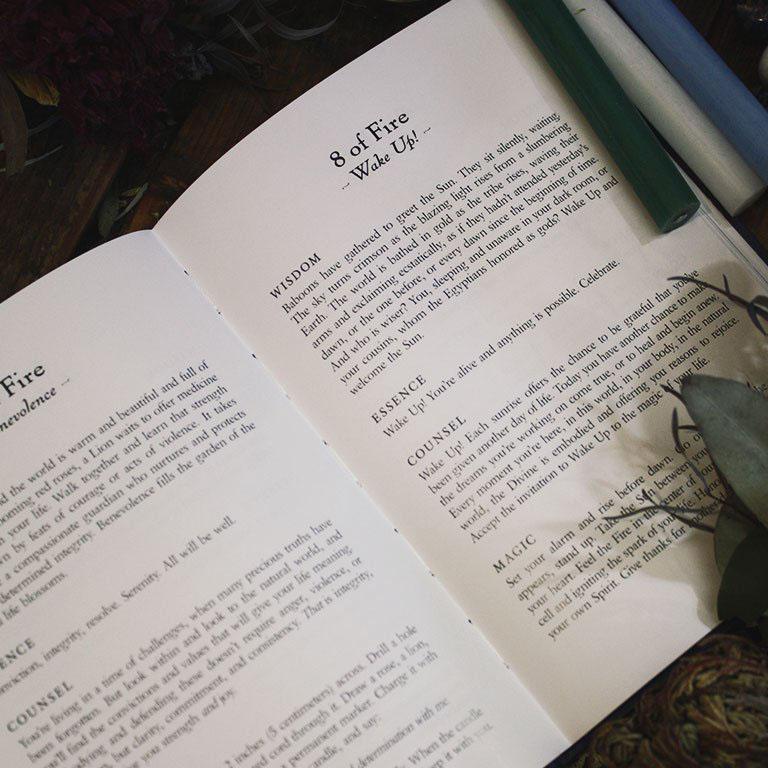 The Witches' Wisdom Tarot