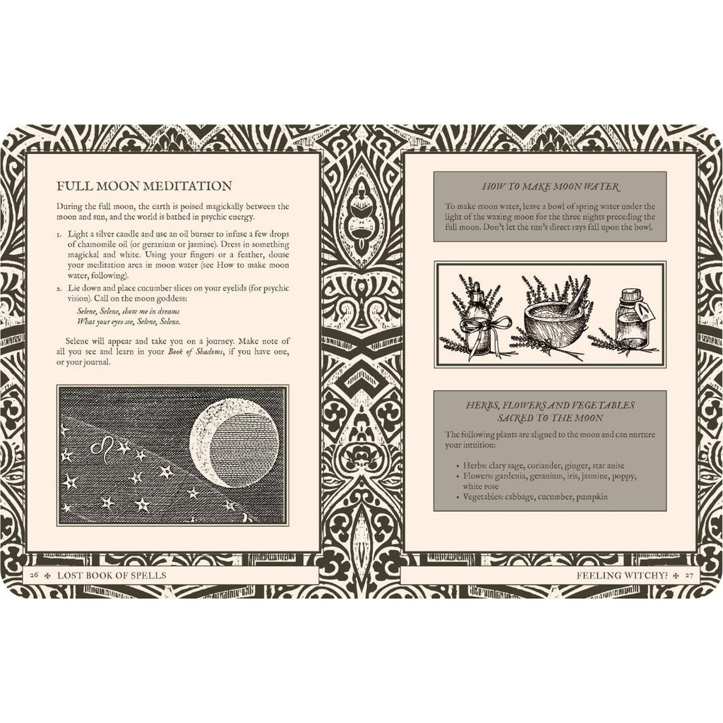 Lost Book of Spells by Fiona Horne