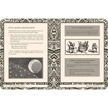 Lost Book of Spells by Fiona Horne