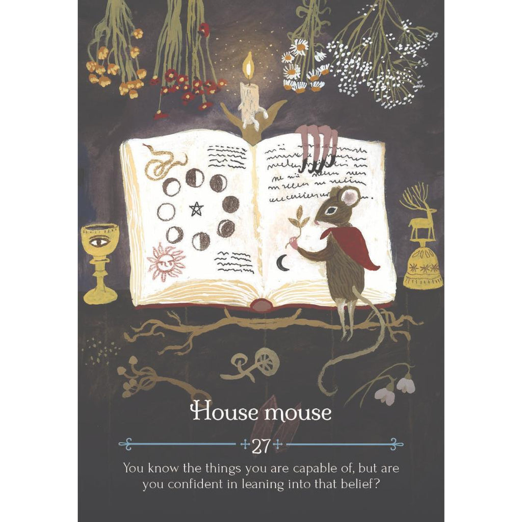 Seasons of The Witch - Imbolc Oracle | Rockpool Oracle Card Deck