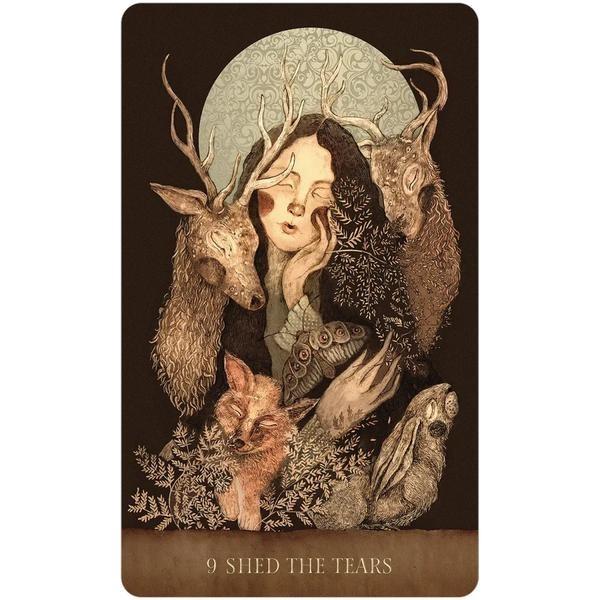 Dream Song Oracle