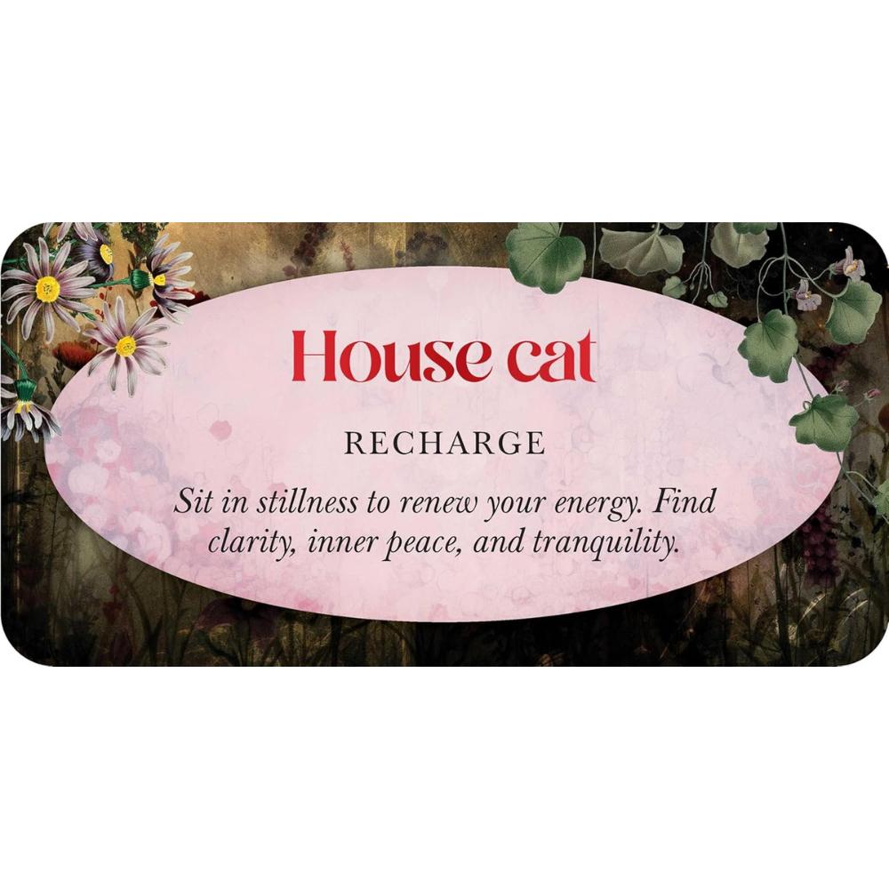 Animal Guides Mini Cards