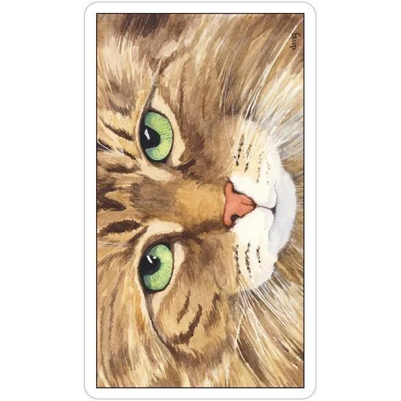 Cat's Eye Tarot