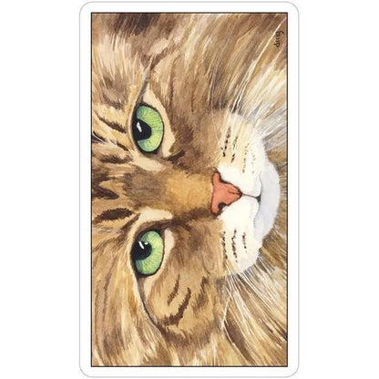 Cat's Eye Tarot