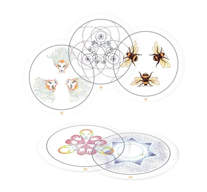 The Transparent Oracle 2nd Edition