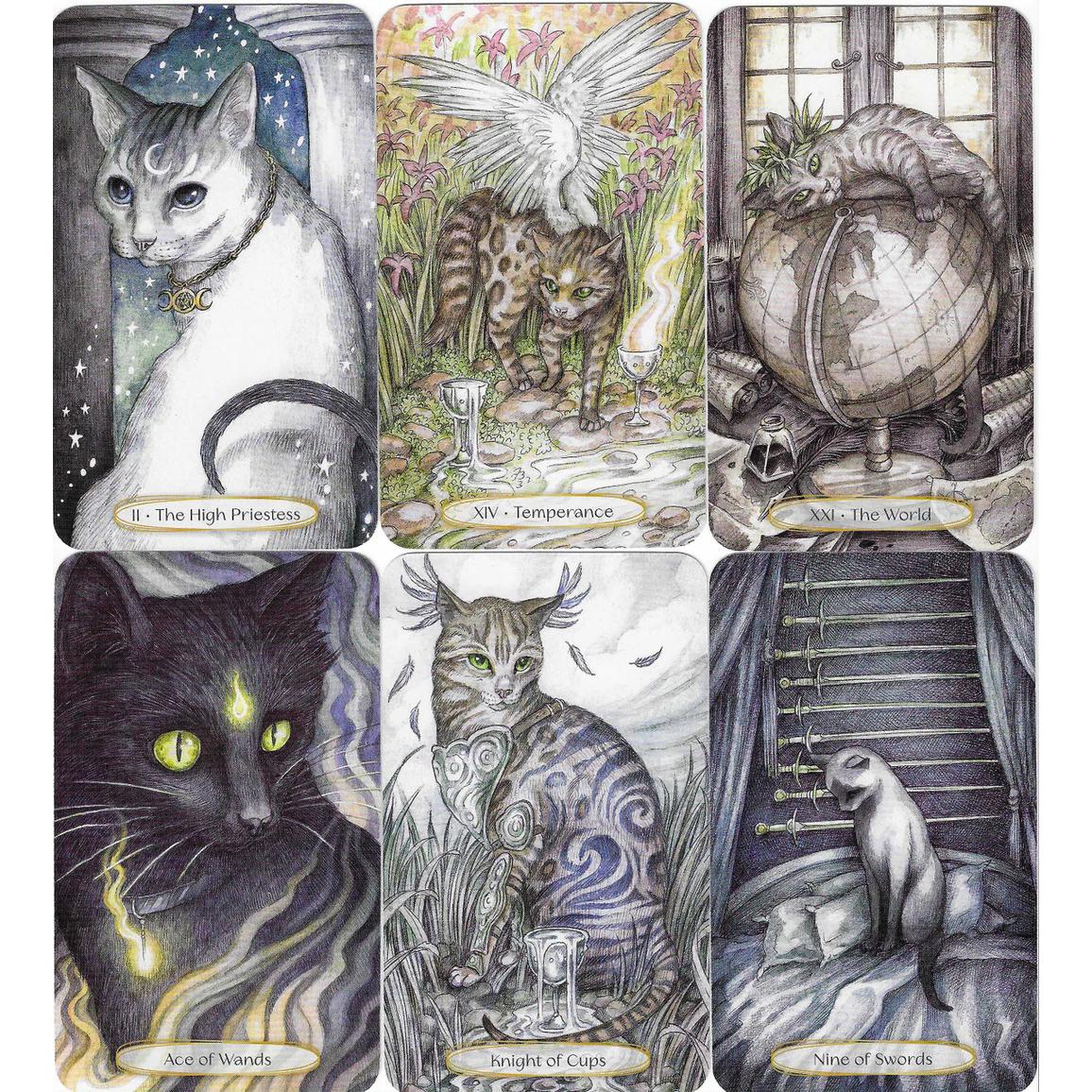 Soul Cats Tarot