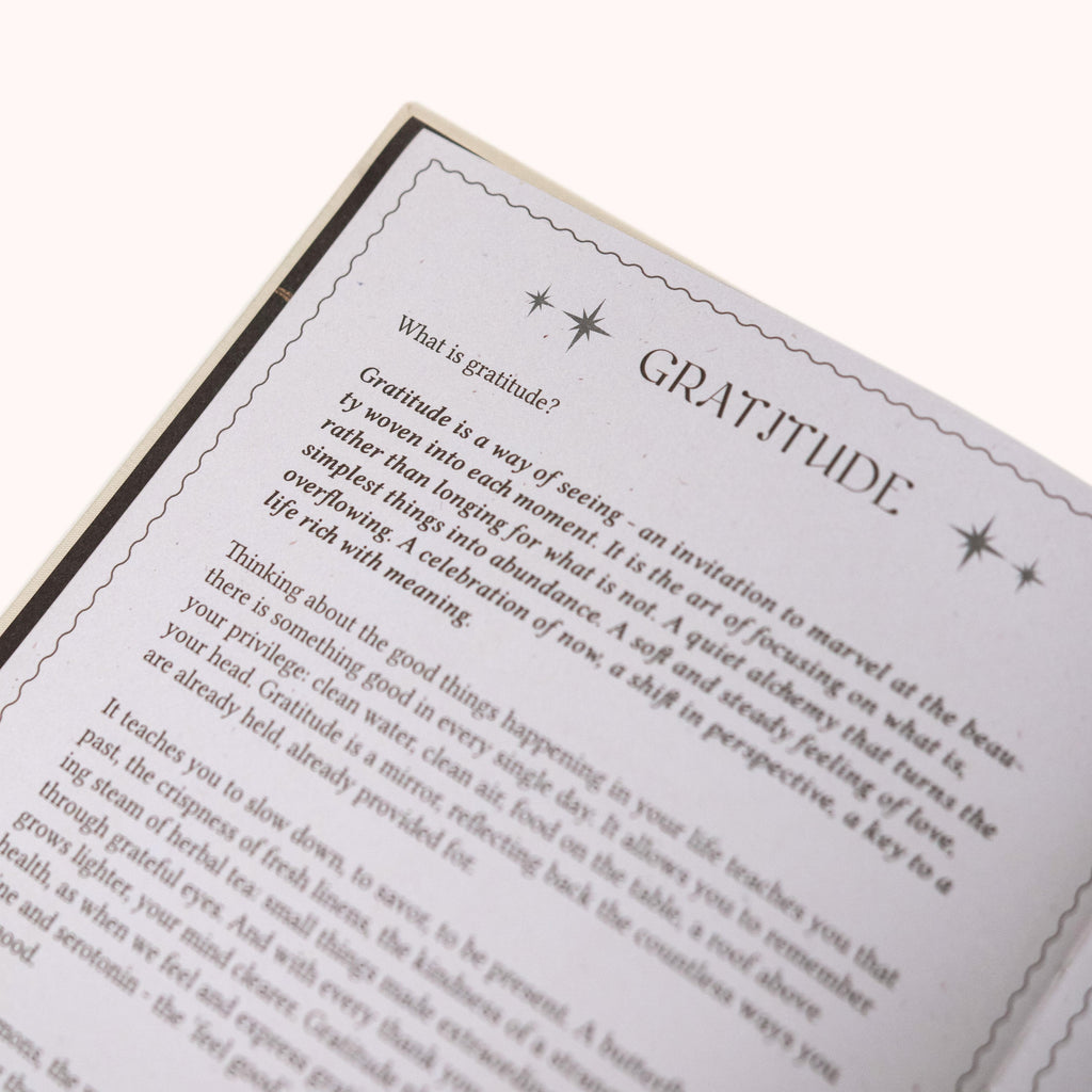 Gratitude Journal Dreamy Moons