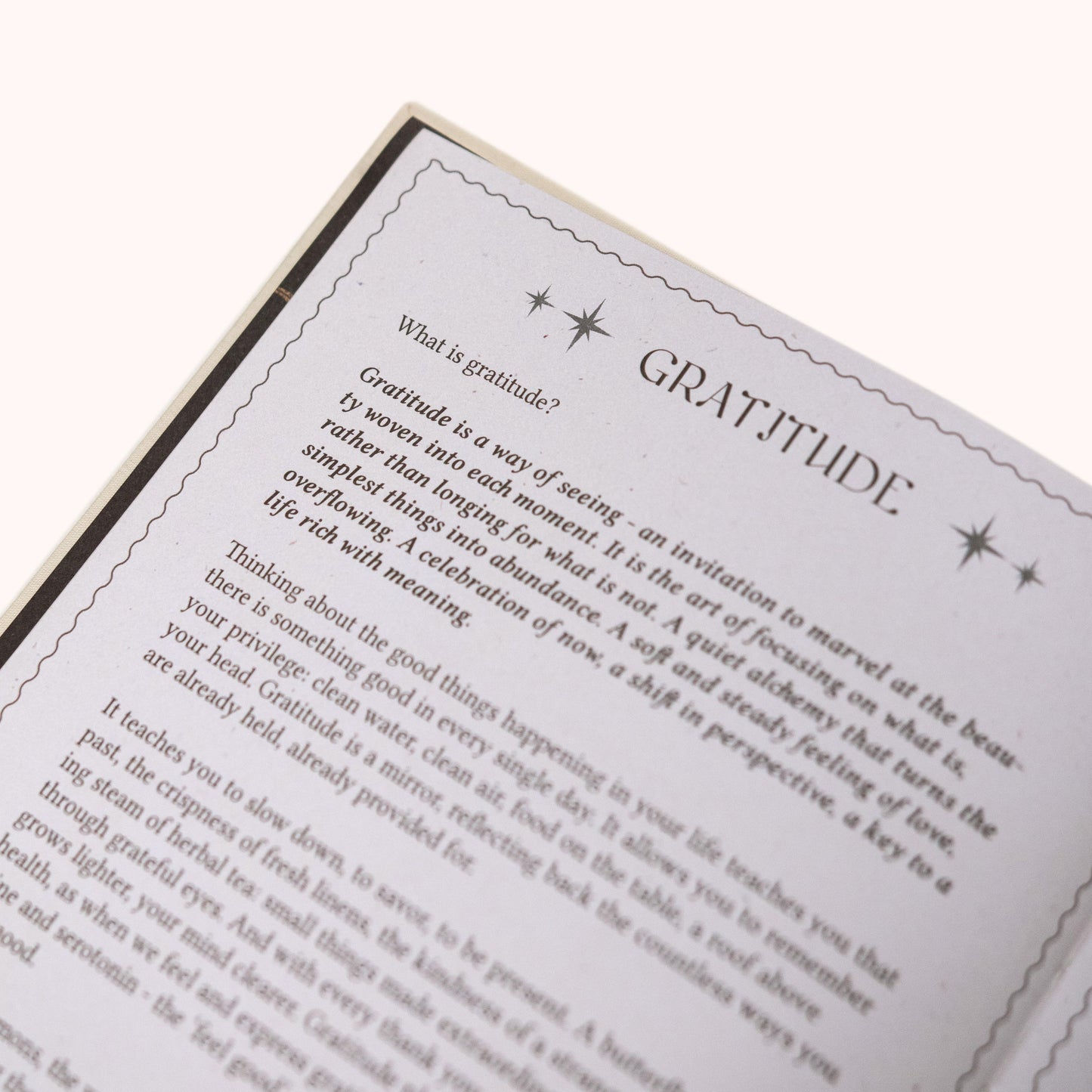 Gratitude Journal Dreamy Moons