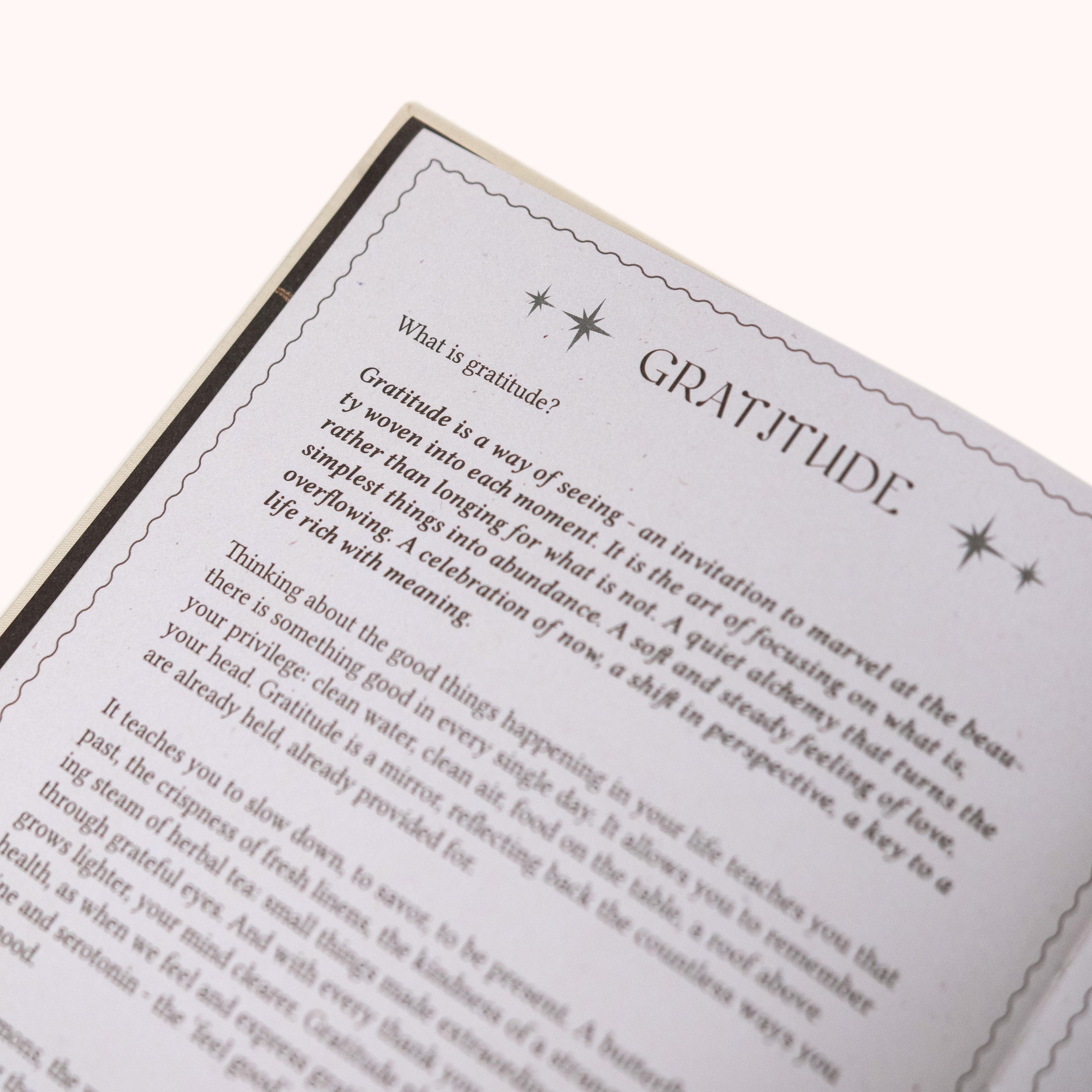 Gratitude Journal Dreamy Moons