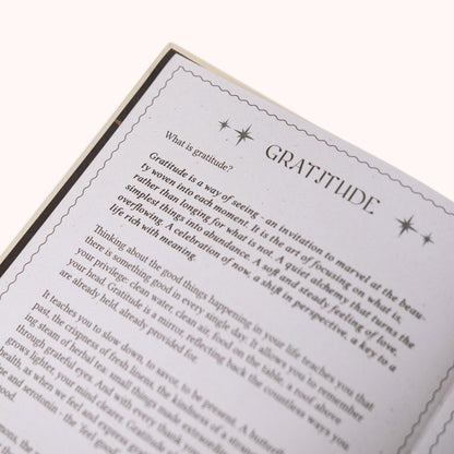 Gratitude Journal Dreamy Moons