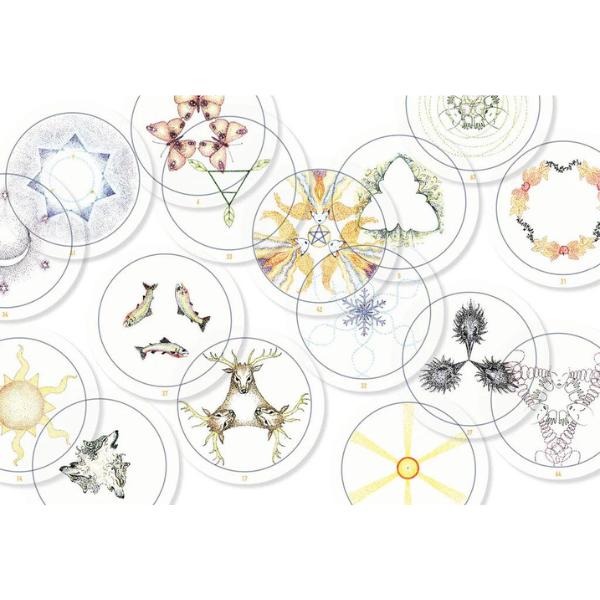 The Transparent Oracle 2nd Edition