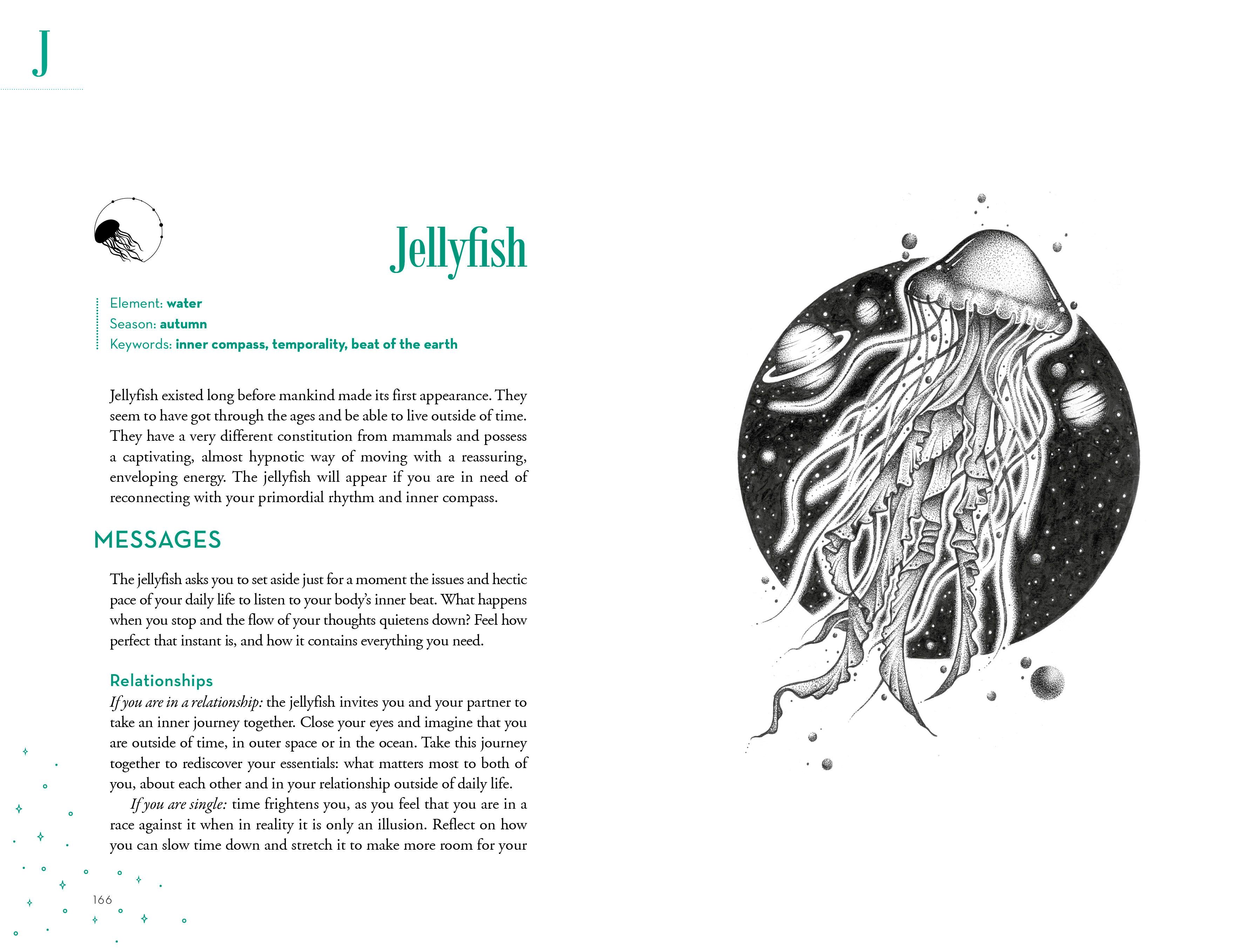 An A-Z of Animal Symbolism