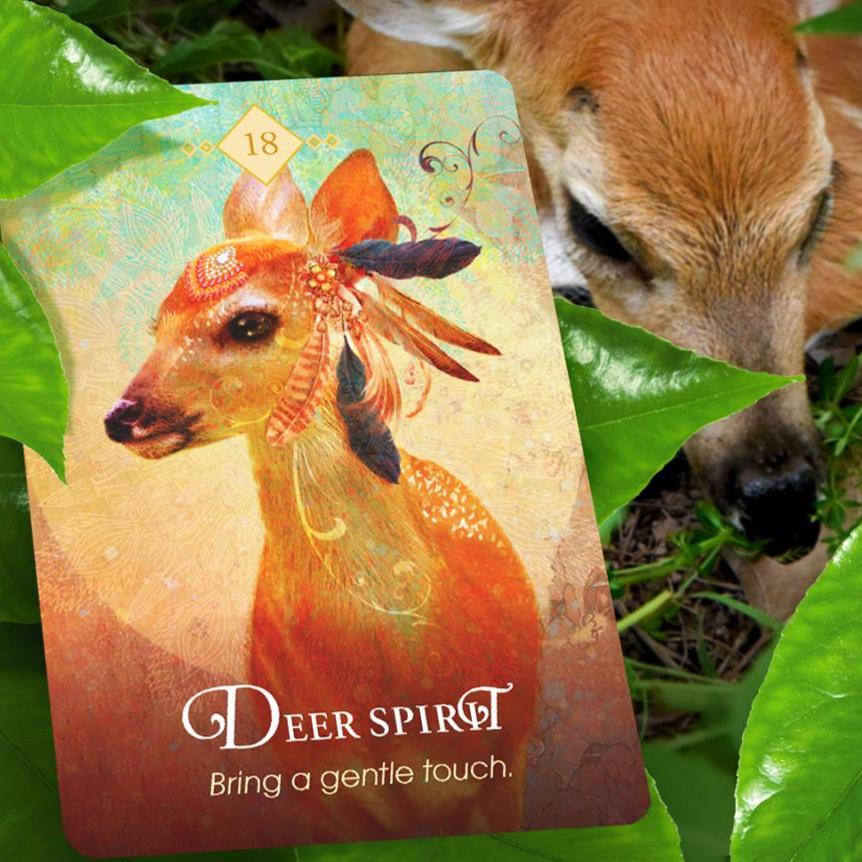 The Spirit Animal Oracle