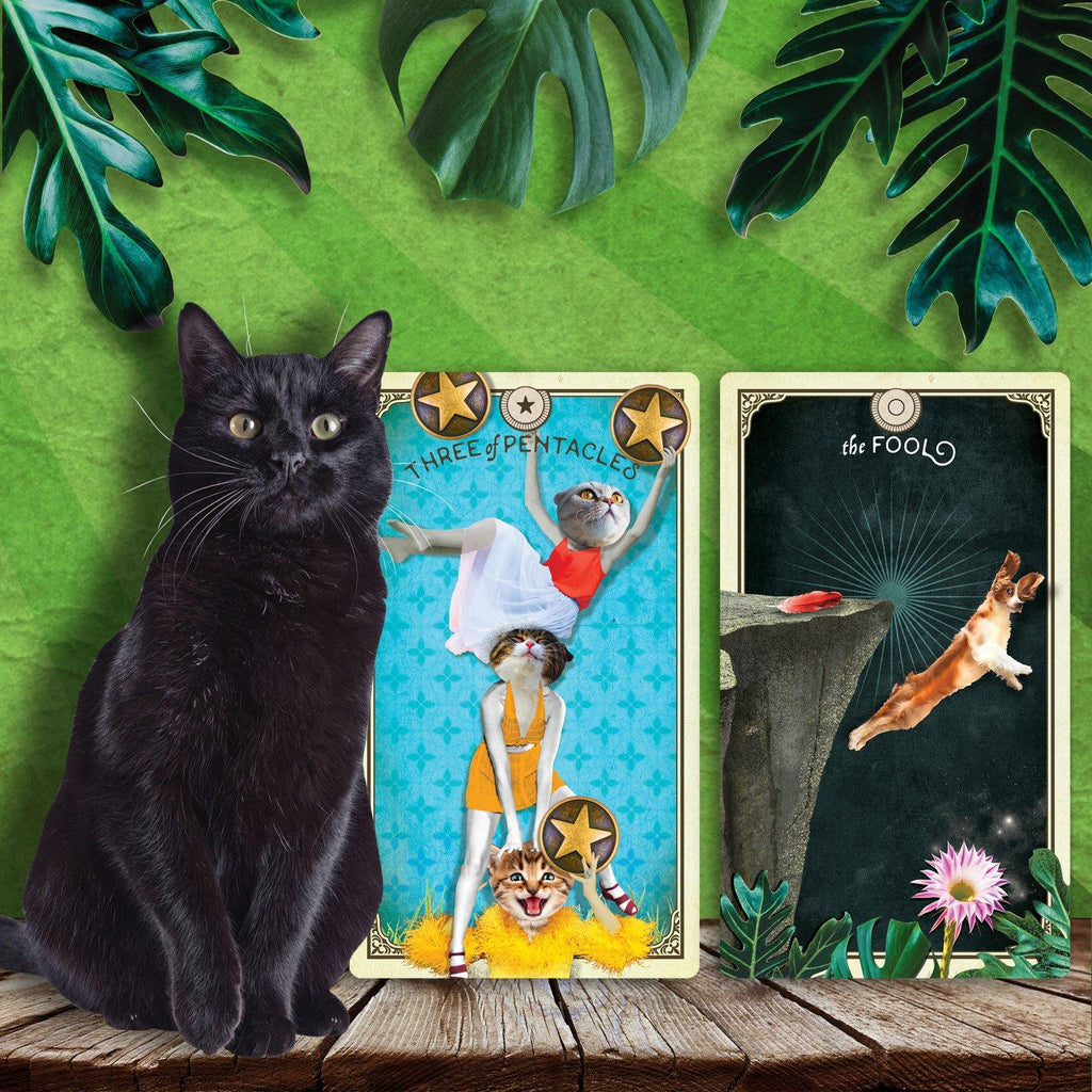 The Tarot of Curious Creatures | Tarot Deck