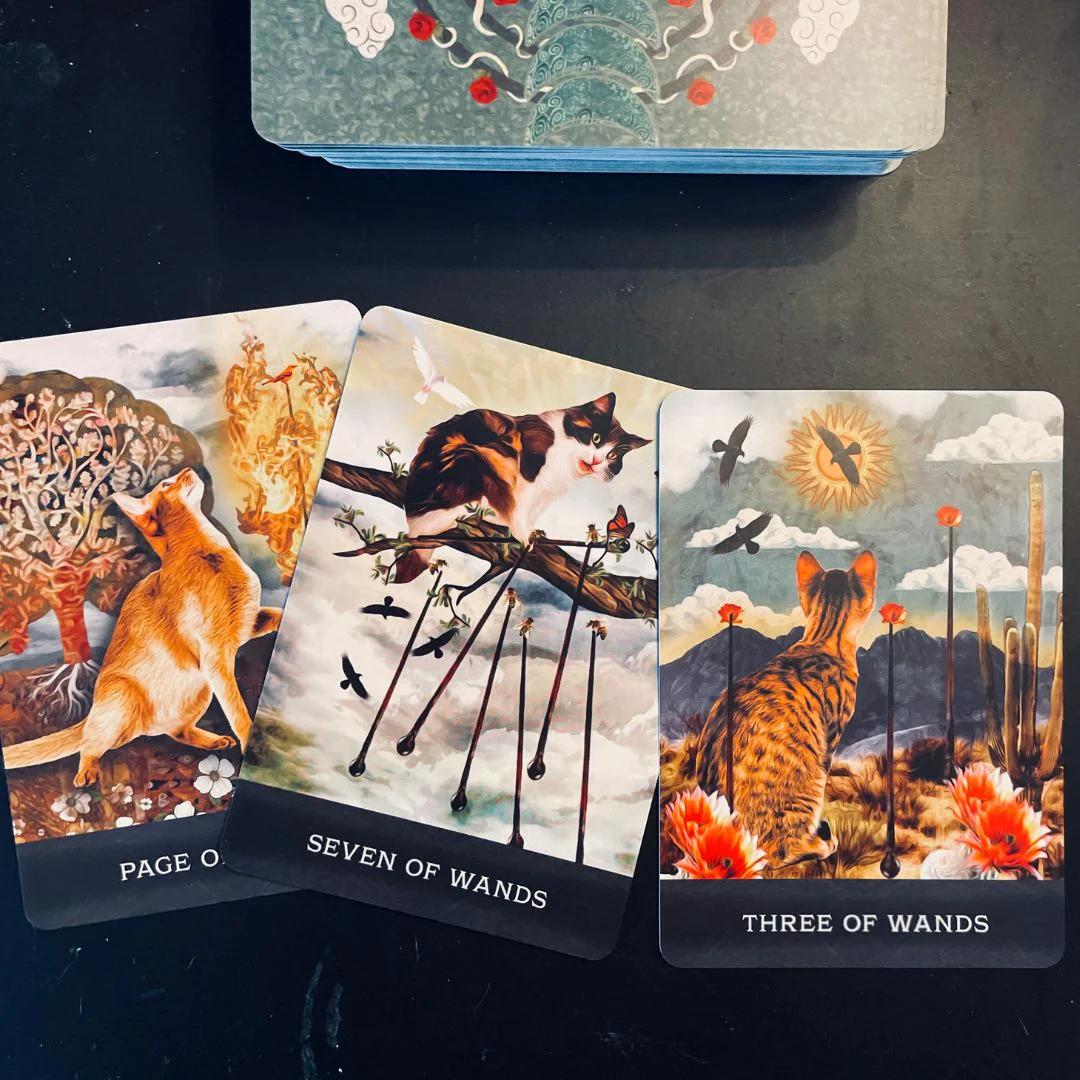 Grimalkin's Curious Cats Tarot