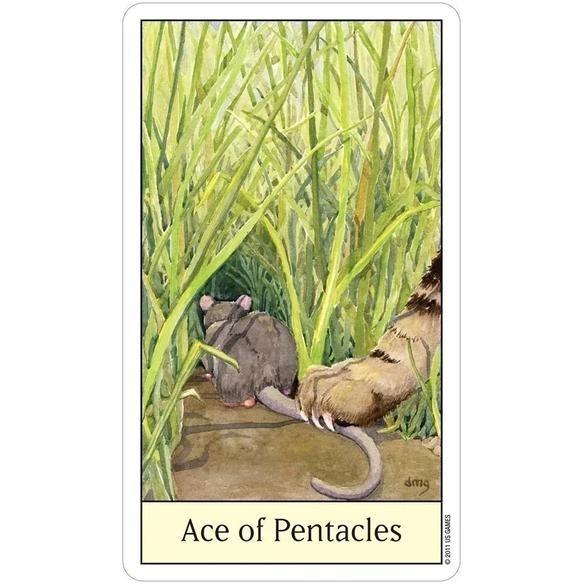 Cat's Eye Tarot