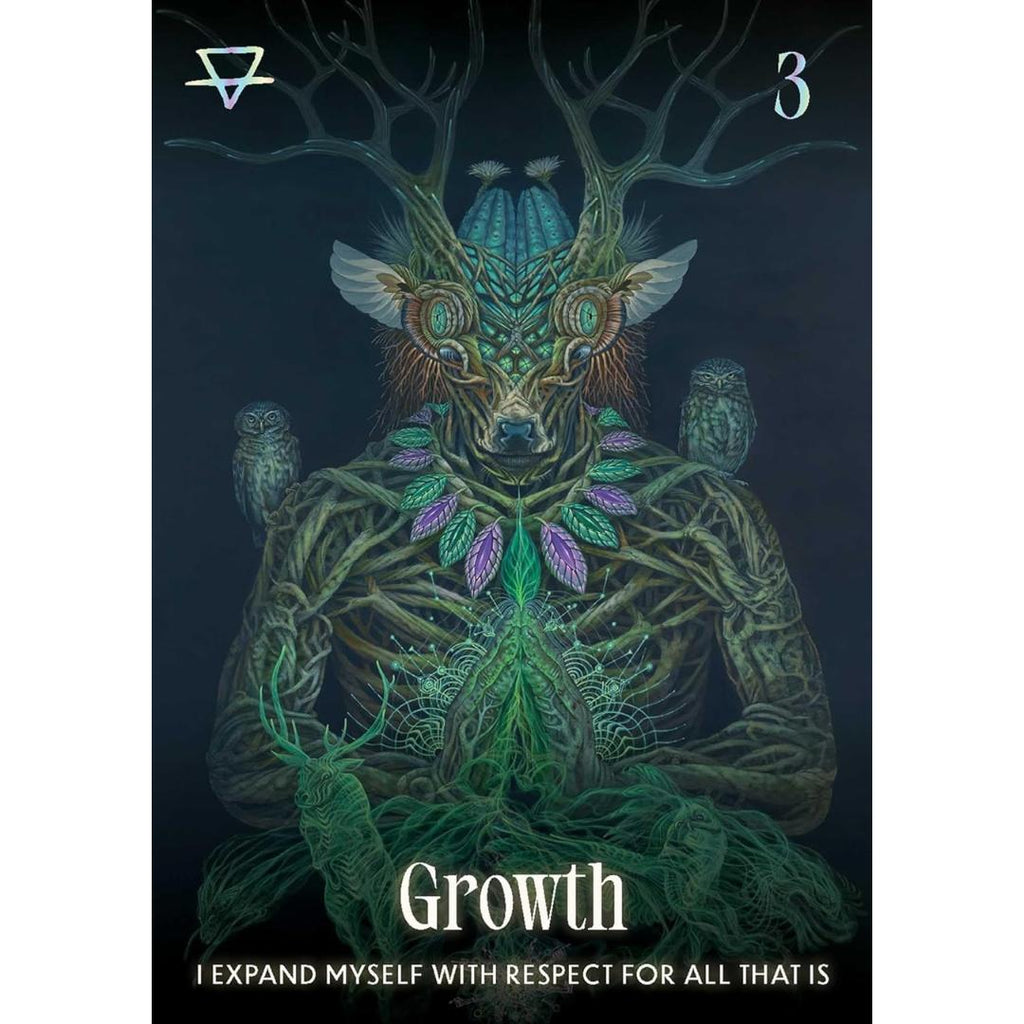 Shamanic Oracle
